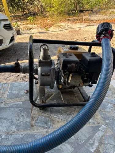 Motobomba Gasolina 7cv Buffalo / Mangueira 2m