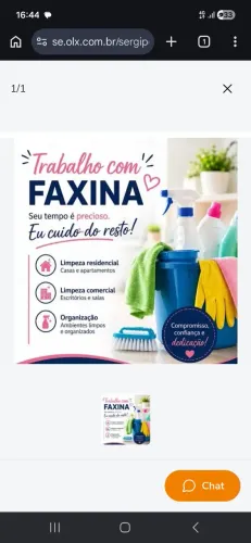 Faxina 