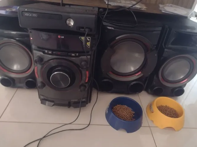 Microsystem LG 