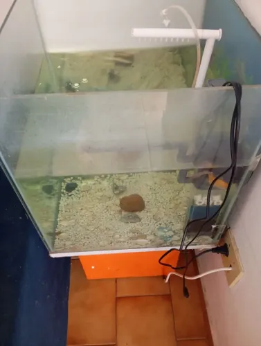 Aquário de 100 litros + Duas bombas