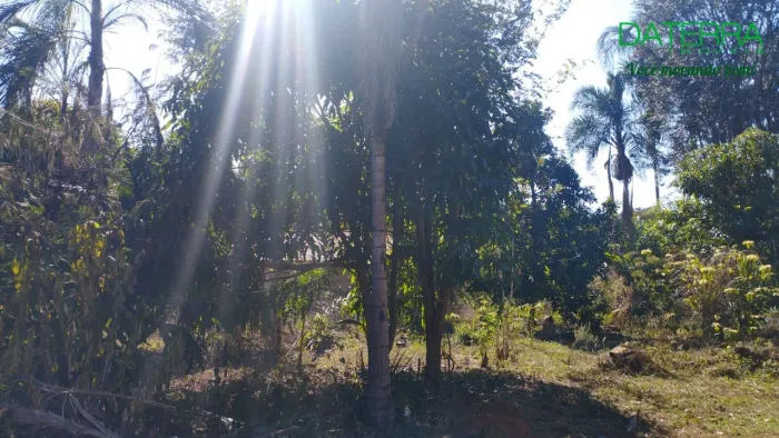 Chácara Urbana com perfil Rural  Seu espaço verde pertinho do Campus UFG: Sua Vida merece 