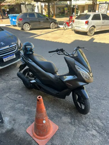 PCX leilão 