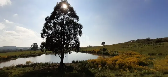 Chácara de 9,42 ha em Lajeado Grande , São Francisco de Paula