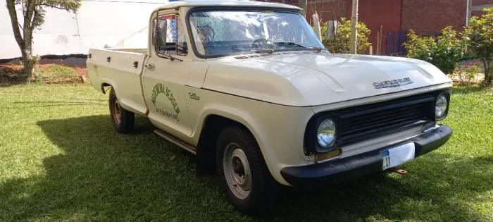 Chevrolet C-10 2.5/4.1 1970