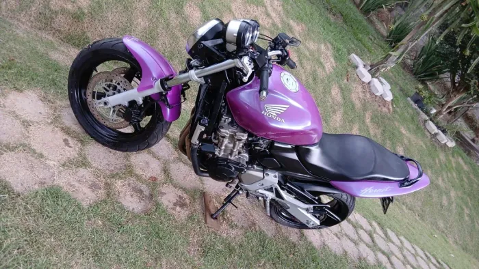 Hornet 2007