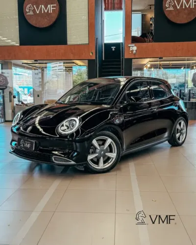 GWM Ora 03 Skin (elétrico) 2024