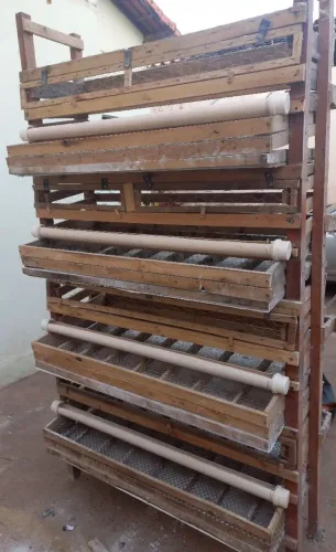 Bateria para codorna gigante