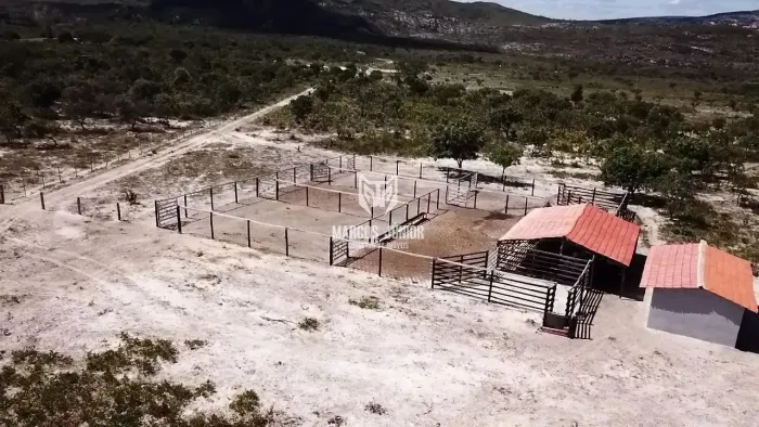 VENDO FAZENDA COM ALTITUDE NA REGIÃO DE RIACHO DOS MACHADOS MG DE 1000 HA COM MUITA AGUA N