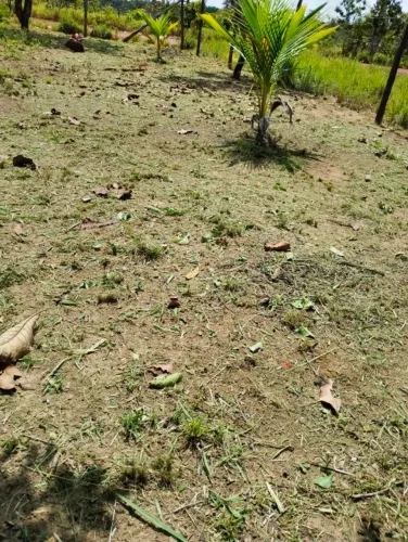 Terreno titulado 17x25