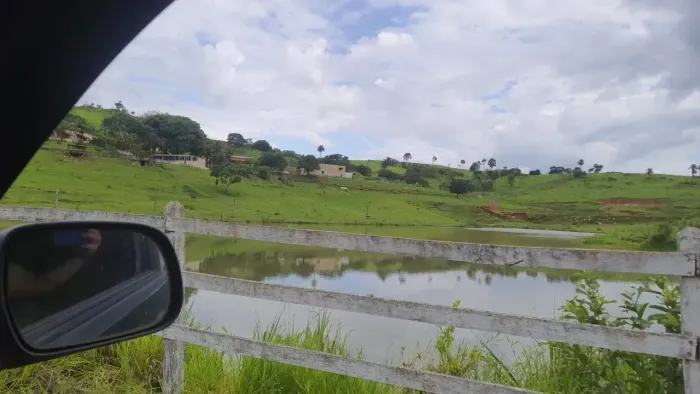 Fazenda para lazer(vida) ,pecuária boi