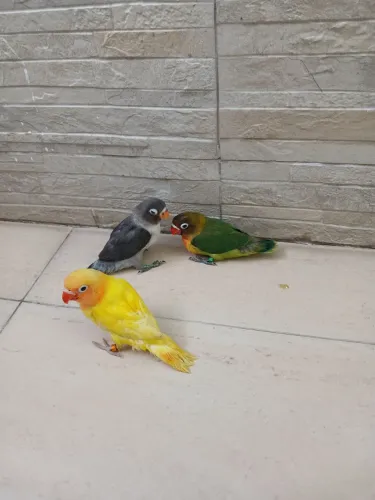 Tire seu filho das telas, melhor companhia e maior interação