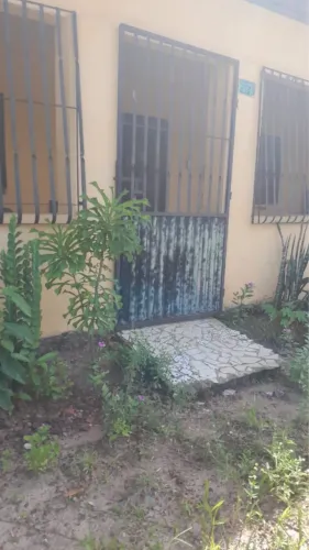 Alugo