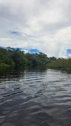 HUMBERTO DE CAMPOS-MA: A venda Ilha Igapó Mirim de 176 hectares  Lençóis Maranhense