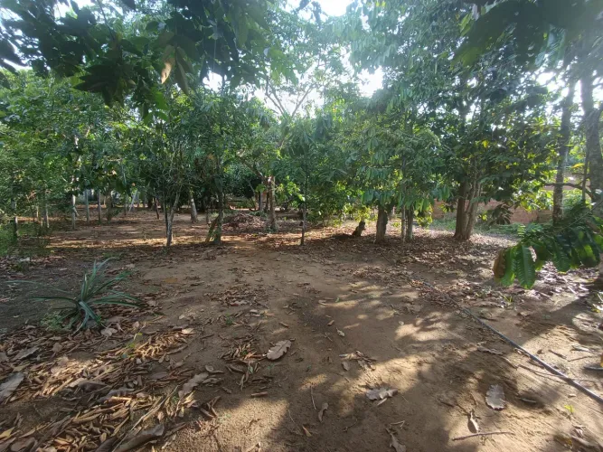 //Lote com 800 M2 em Açutuba