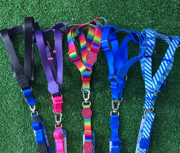 Peitoral americano para cães + guia