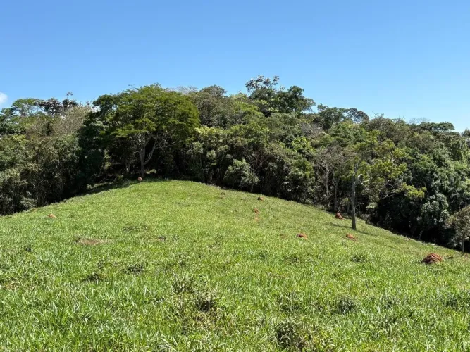Terreno Rural para venda em Dom Viçoso MG