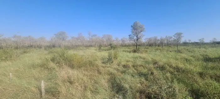 Fazenda para pecuária 1.250 hectares Corumbá-MS