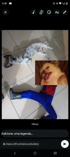 Flocos para doação 