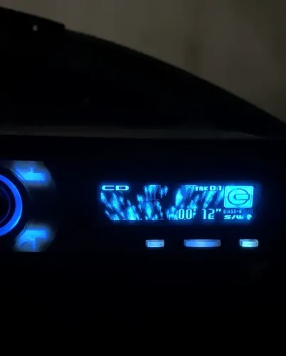 Pioneer golfinho