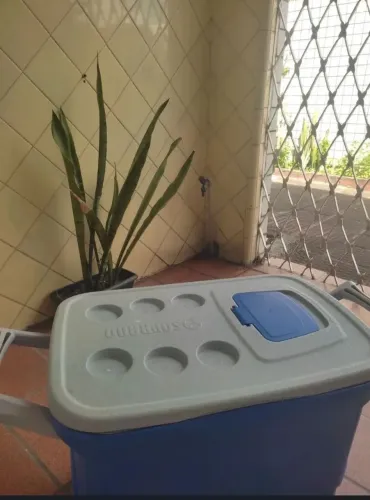 Caixa térmica soprano 50 litros ( R$ 180,00 )