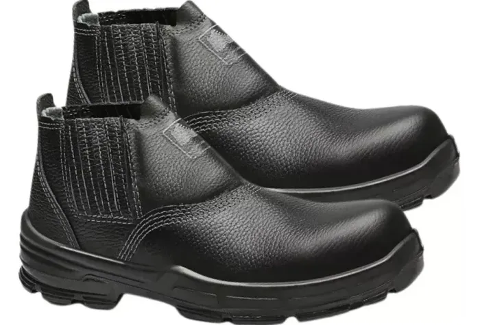 Bota bracol