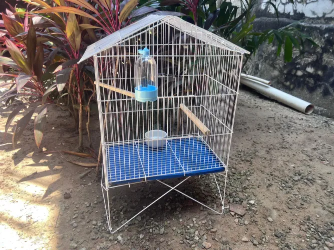 GAIOLA PARA AVES
