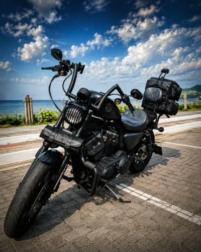 Harley Davidson Iron 883 