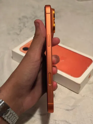 17 PRO MAX
