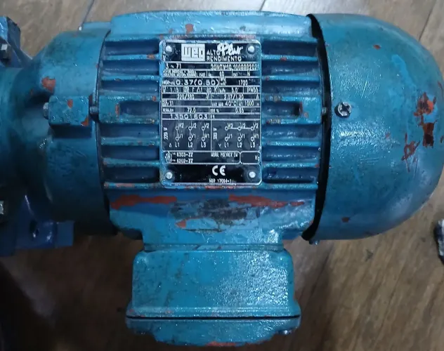 Motoredutor WEG Angular (Redução por Coroa e Sem-Fim) - 0,37 kW