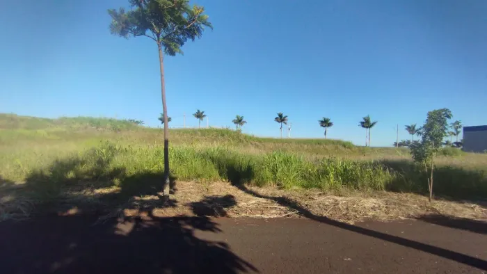 Terreno Residencial 320m2 Floresta-Pr, Jardim Nova Floresta , R$ 140.000,00