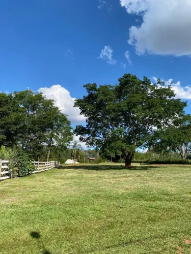 Aluga-se pasto urbana e 2 terrenos comerciais direto acesso por BR 153 Jaiara/Anápolis