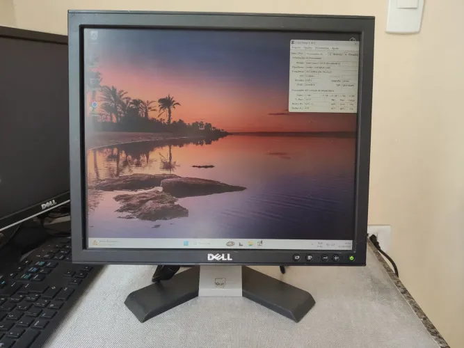 Monitor Dell 17 polegadas para computador