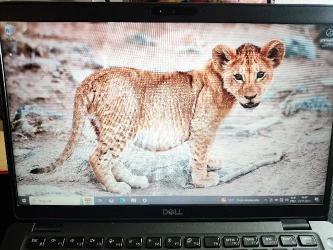 Dell Latitude 5400 - i7 vPro / 8GB / SSD 256GB / Win 10 Pro - Excelente estado!