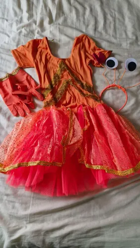 Fantasia infantil de caranguejo