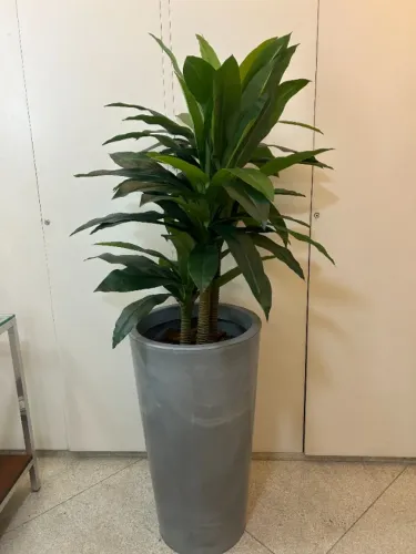 Planta Decorativa Grande com Cachepô