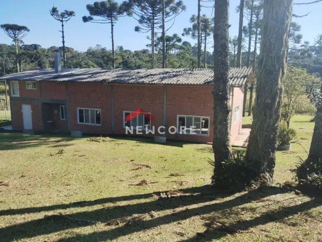 Chácara em Rua João Bortolan - Colônia Murici - São José dos Pinhais/PR