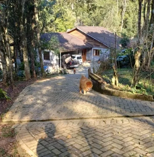 Chácara em Sjp na continuação do caminho do vinho, Troco, Vendo  
