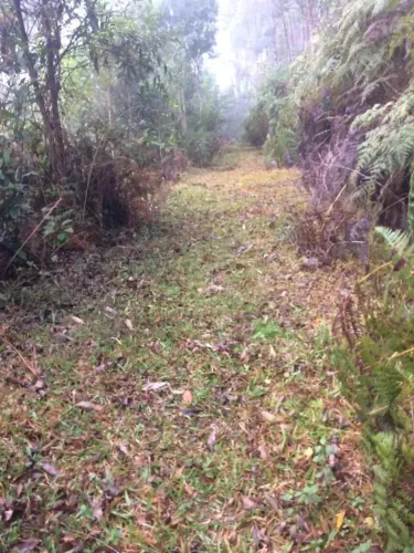 Chácara / Sítio à venda, Não Informado - Botuverá/SC