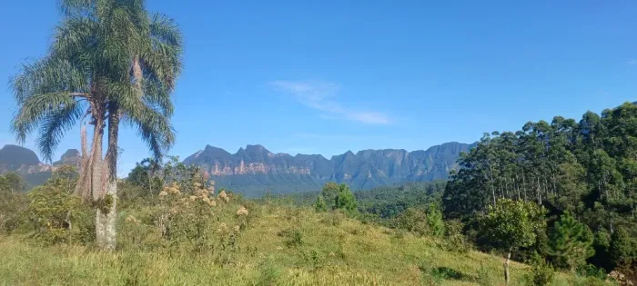 SITIO, TERRENO DE 26,00ha, SERRA FURADA, SERRA CORVO BRANCO, GRÃO-PARÁ.