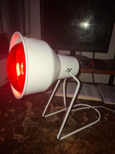 Lampada infravermelha 250 w 220 v. Suporte antepé bivolt 110, 220 v.