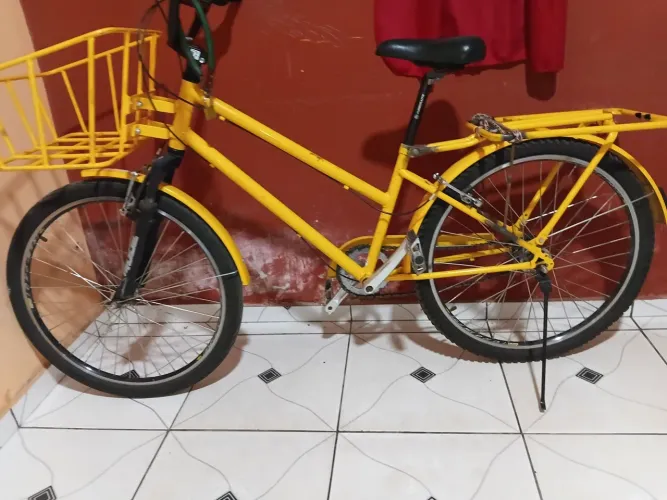 Vendo está bicicleta cargueira com Macha.