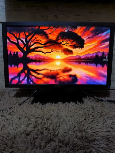 Monitor Dell 21.5" Modelo E2211HC LCD