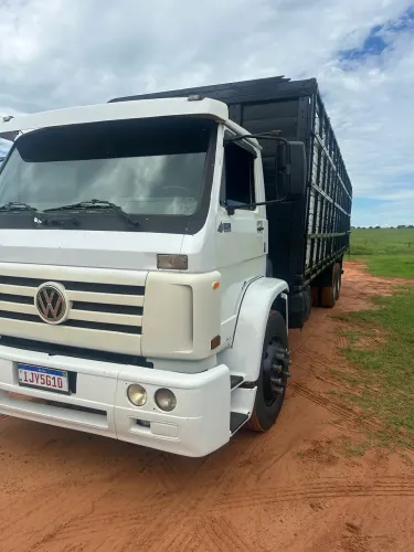 Vendo caminhão boiadeiro