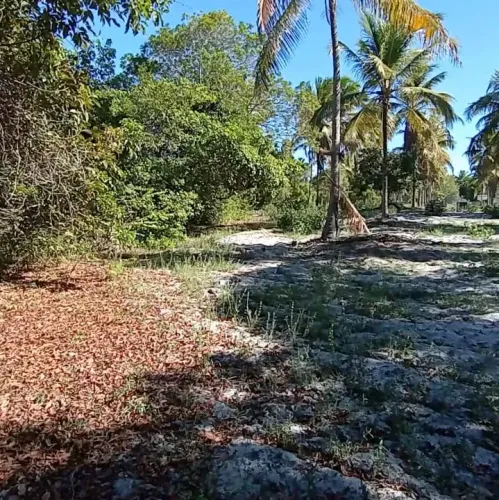 LOTE EM PORTO DE GALINHAS