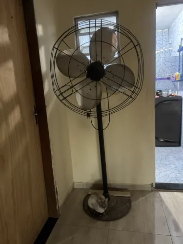 Ventilador tufão