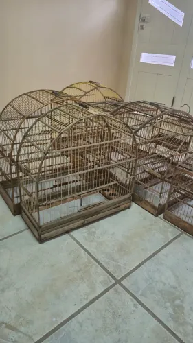 7 gaiolas