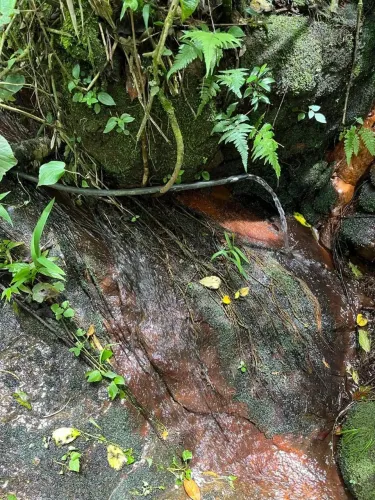 TERRENO NA CIDADE DE ITAPEVA  3 ALQUEIRES