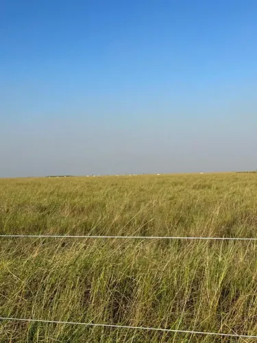COD371- Fazenda 2.720Hectares CORUMBÁ - Pantanal/MS