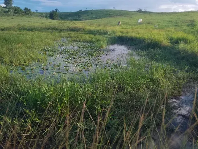 Imóvel para venda com 629200 metros quadrados em Centro - São Francisco de Itabapoana - RJ
