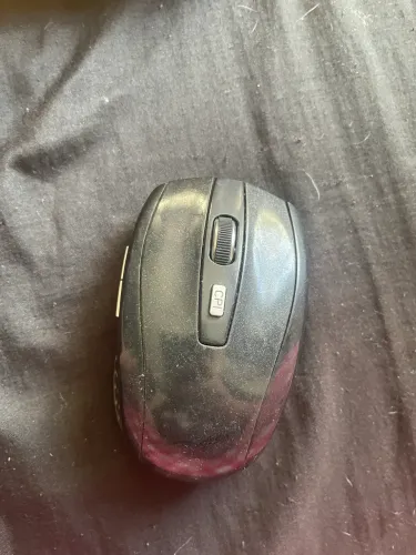 Mouse